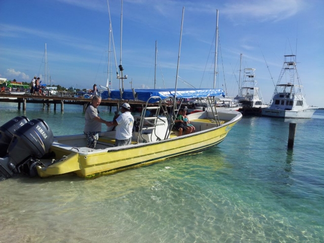 Visitas guiadas de buceo